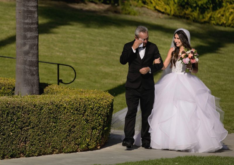 weddings weddings
