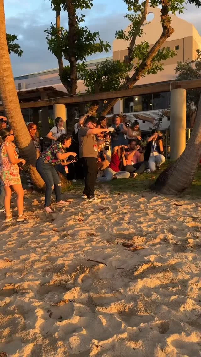 ¡Y con esto cerramos la experiencia de este congreso! 🇵🇷 El photowalk hizo sold out dos veces… 🥹💛 Ver a tanta gente entusiasmada fue caóticamente hermoso. 📸✨

Coordinar una sesión en otro país siempre es un reto, pero con este equipo se sintió como si lleváramos años trabajando juntas. 🥰

Gracias a Amor por entregarse con tanta energía y talento, a Monik Ríos y su mamá por su arte y apoyo, y a Verona por ser mi mano derecha en todo.

Sé que fuimos más de lo esperado, pero si estuviste y te llevaste inspiración y fotos hermosas, entonces lo logramos.

Si estuviste ahí, ¡comenta un 🔥 para que todos podamos ver tu trabajo! 

#LizPinto Modelo: @amormusicpr Makeup: @monikriosmua @illuminatepuertorico Asistente:  @veronadominguezphotography